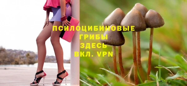 винт Верхний Тагил