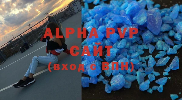 прущие грибы Сосновый Бор