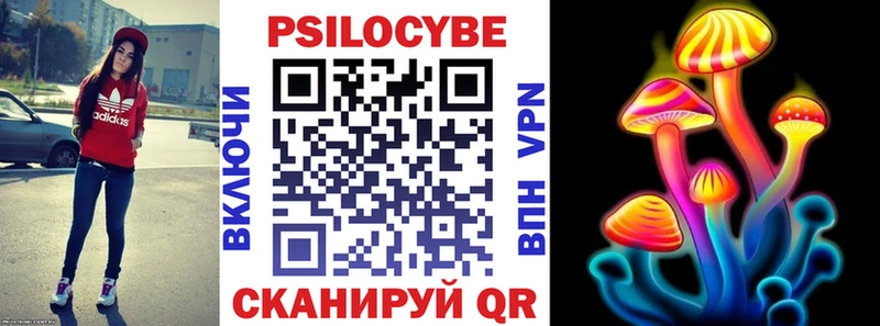 закладка  Плёс  Псилоцибиновые грибы Cubensis 
